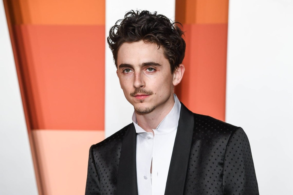 Timothée Chalamet Style: How to Capture the Iconic Look
