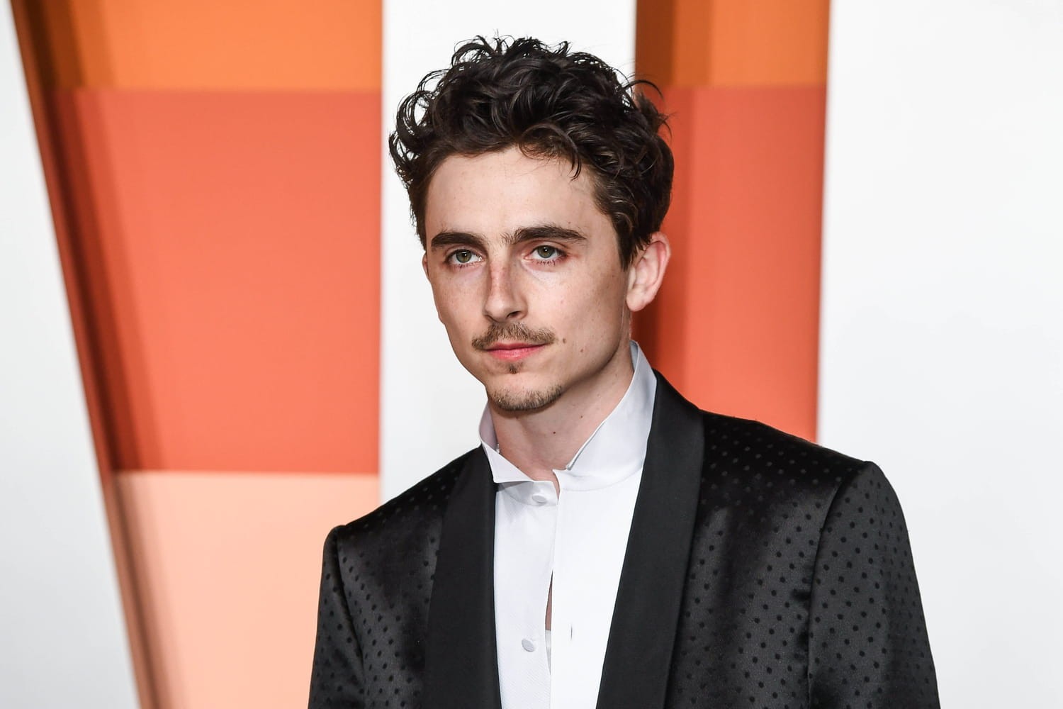 Timothée Chalamet Style: How to Capture the Iconic Look